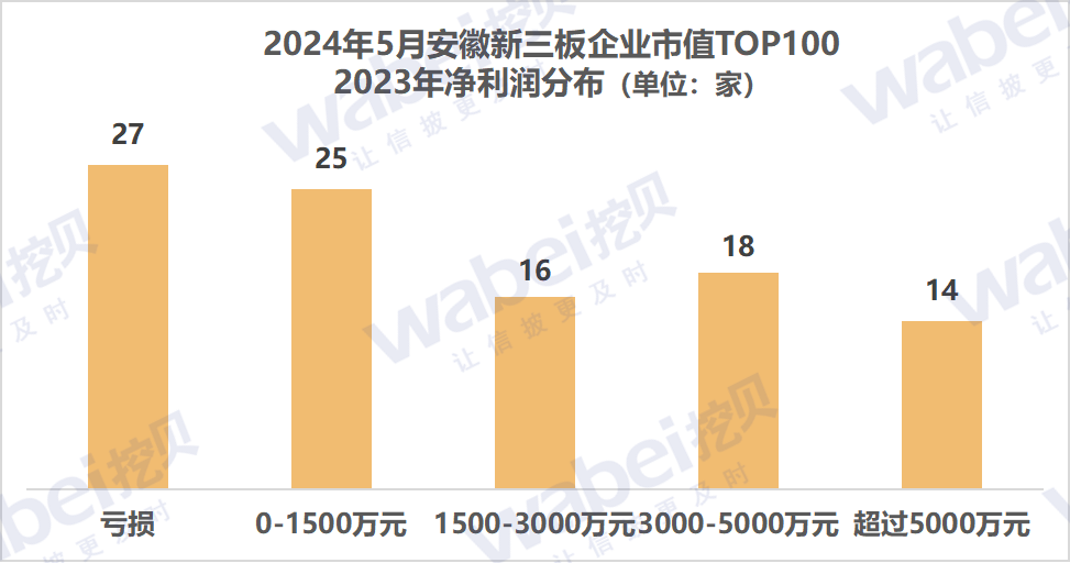 2024年5月安徽新三板企业市值TOP100：32家企业去年净利润超3000万元  第3张